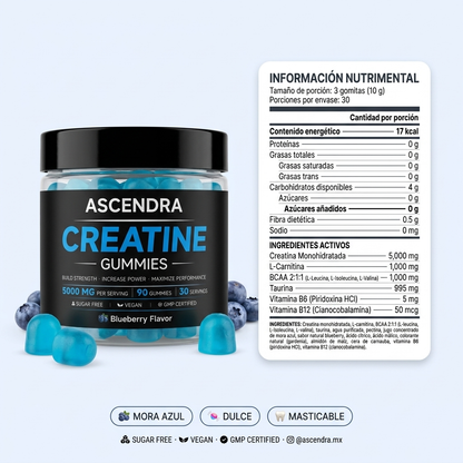 ASCENDRA Creatine Gummies