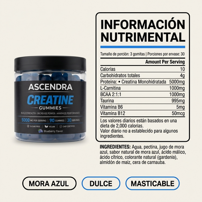 ASCENDRA Creatine Gummies 12 Pack